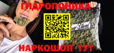 СК Донской