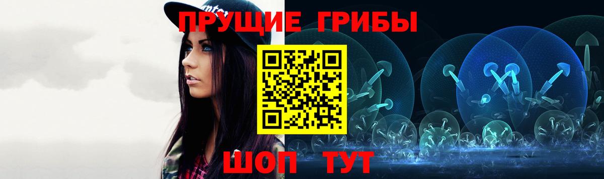 Псилоцибиновые грибы Psilocybe  Вход с VPN  Москва 